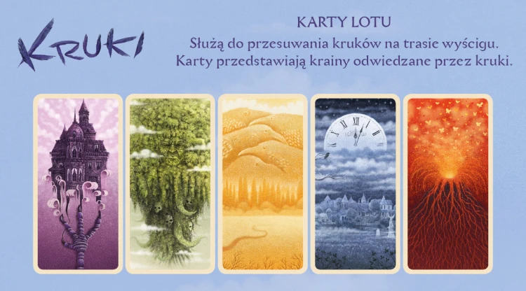 Widok kart i akcesoriów gry Kruki NASZA KSIĘGARNIA w detalu