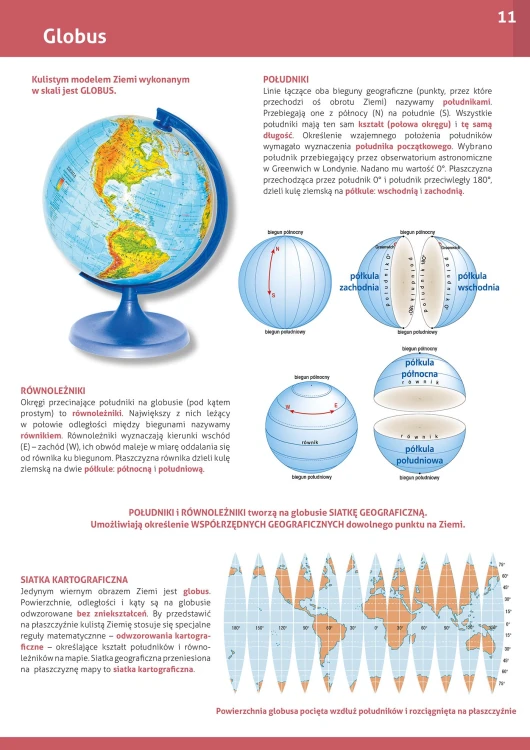 Ilustracje roślin i zwierząt w atlasie do przyrody DEMART dla klas 4–6