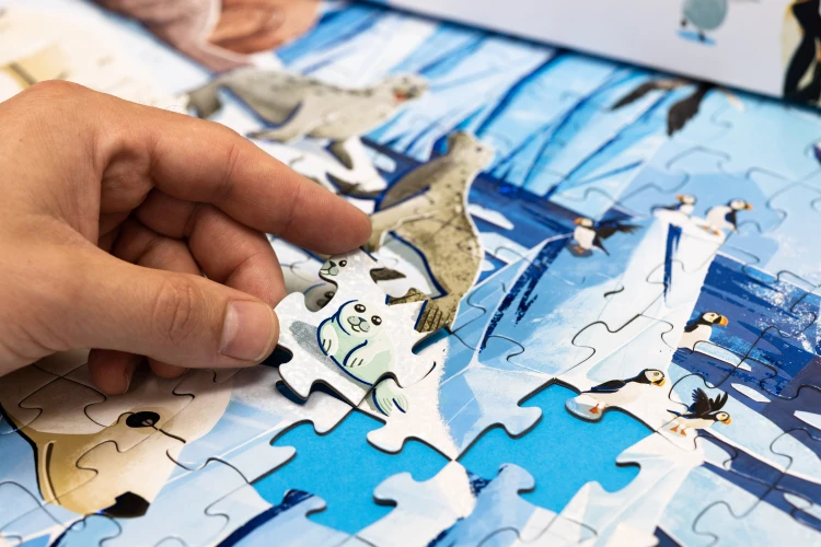 Szczegół puzzli z zestawu Bieguny od WILGA PLAY z elementami przyrodniczymi