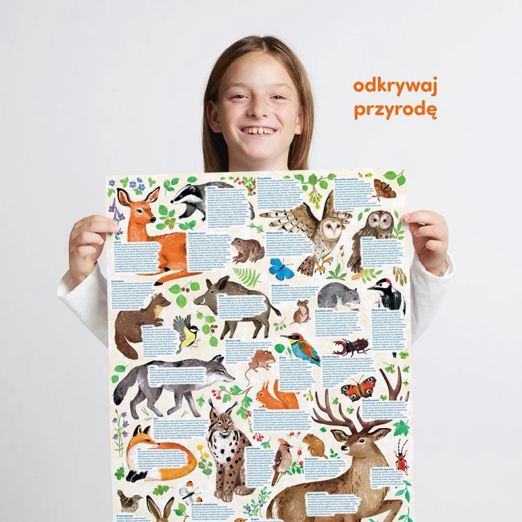 Opakowanie puzzli Dzika przyroda Bright Junior Media o wymiarach 22 x 25 x 7 cm