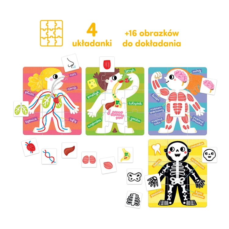 Widok na puzzle edukacyjne Moje ciało z Bright Junior Media z detalami elementów i obrazków