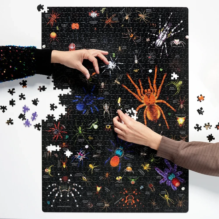 Fragment ilustracji z puzzli Puzzlove Pająki przedstawiający różne gatunki pająków