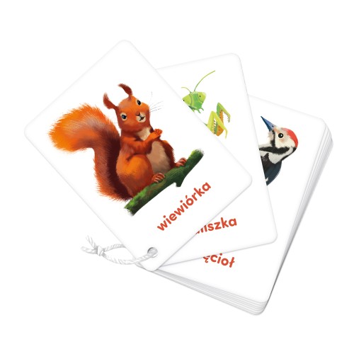 Zestaw kart obrazkowych na sznureczku dla dzieci Bright Junior Media z kolorowymi ilustracjami zwierząt