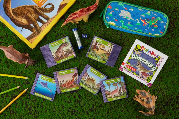 Widok na szczegóły kart edukacyjnych BrainBox Dinozaury od REBEL