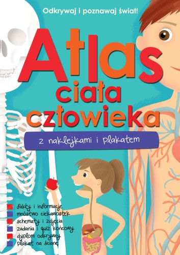 Atlas ciała człowieka Wilga – okładka książki edukacyjnej z naklejkami, quizami i plakatem dla dzieci