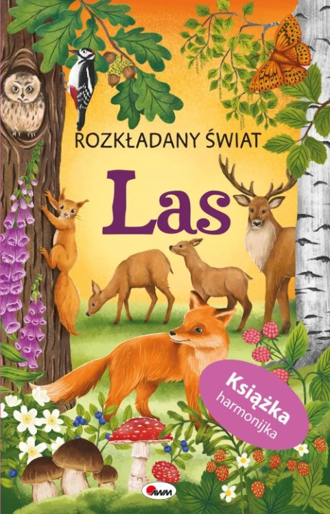 Rozkładany świat. Las AWM, książka harmonijka z leśną panoramą i przyrodniczymi ilustracjami