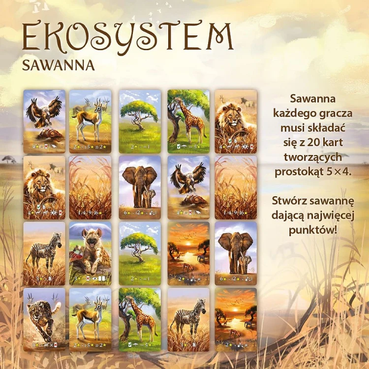 Ekosystem 3: Sawanna NASZA KSIĘGARNIA, gra o punktowaniu mieszkańców sawanny