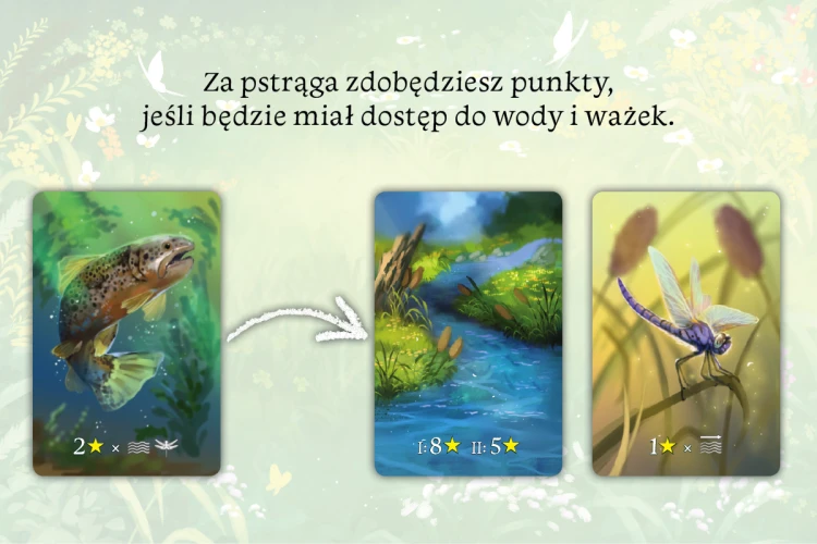 Rodzinna gra Ekosystem NASZA KSIĘGARNIA o tworzeniu krain i zależnościach pokarmowych