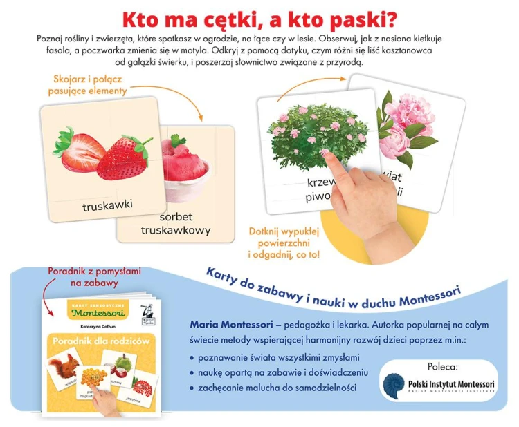 Karty sensoryczne Edgard PAP z wypukłymi elementami do poznawania przyrody dotykiem