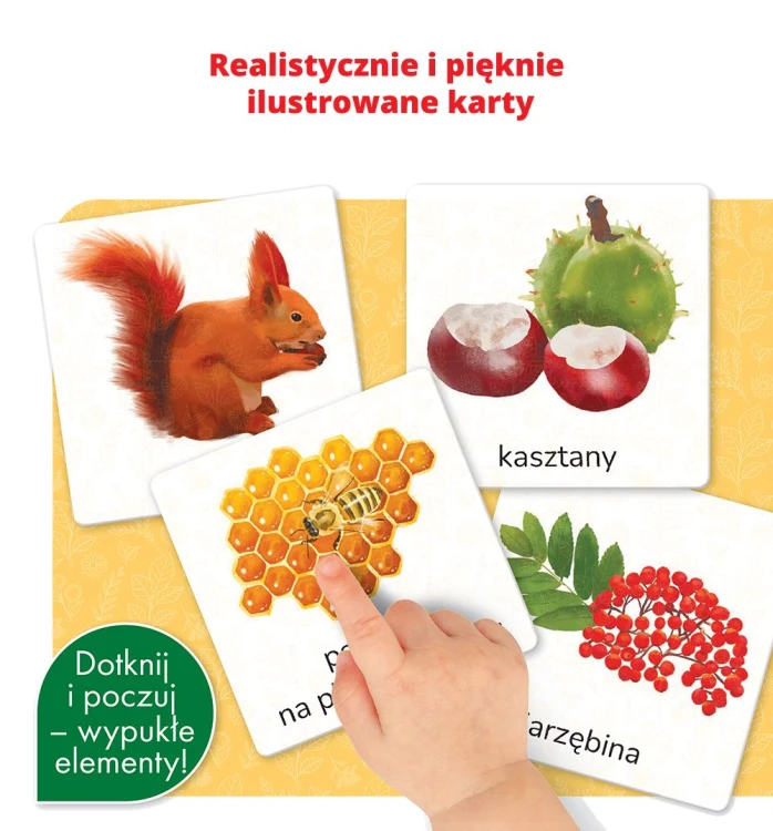 Montessori Przyroda Edgard PAP, dwustronne karty do łączenia obrazków w pary