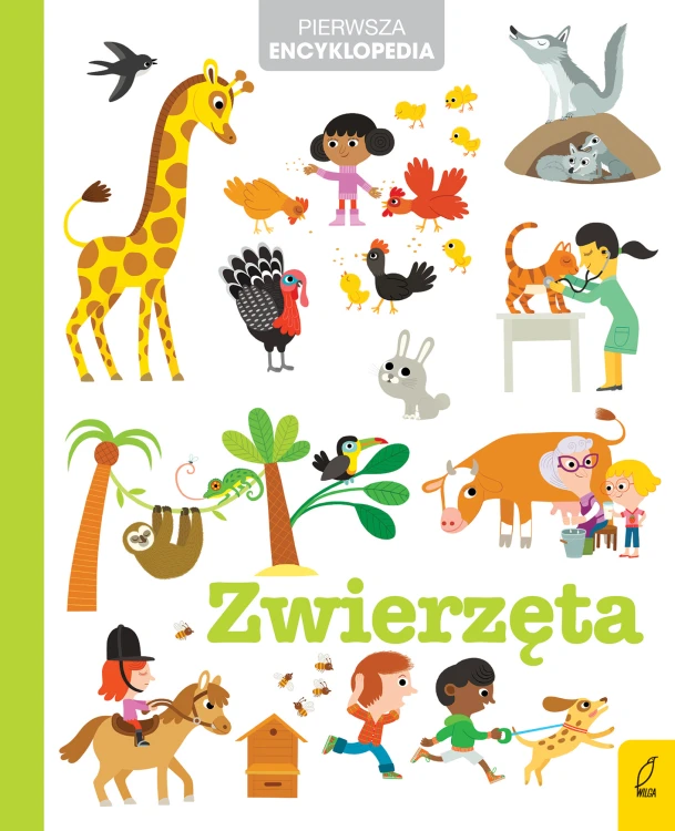 Pierwsza encyklopedia. Zwierzęta Wilga, ilustrowana książka dla przedszkolaków