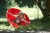 Stożek ustawiony obok innych pomocy sensorycznych, ilustrujący zastosowanie w terapii i ćwiczeniach koordynacji