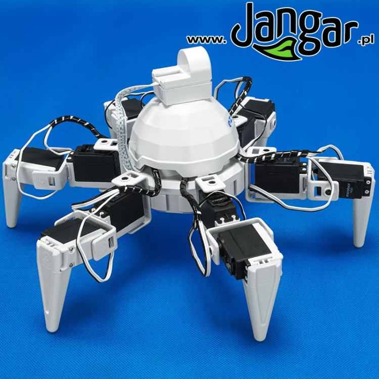 Robot edukacyjny Edupająk SIX do pracy z kodowaniem, programowaniem i funkcjami AI