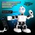 Humanoidalny robot JANGAR z kamerą i oczami RGB do nauki interakcji z robotem