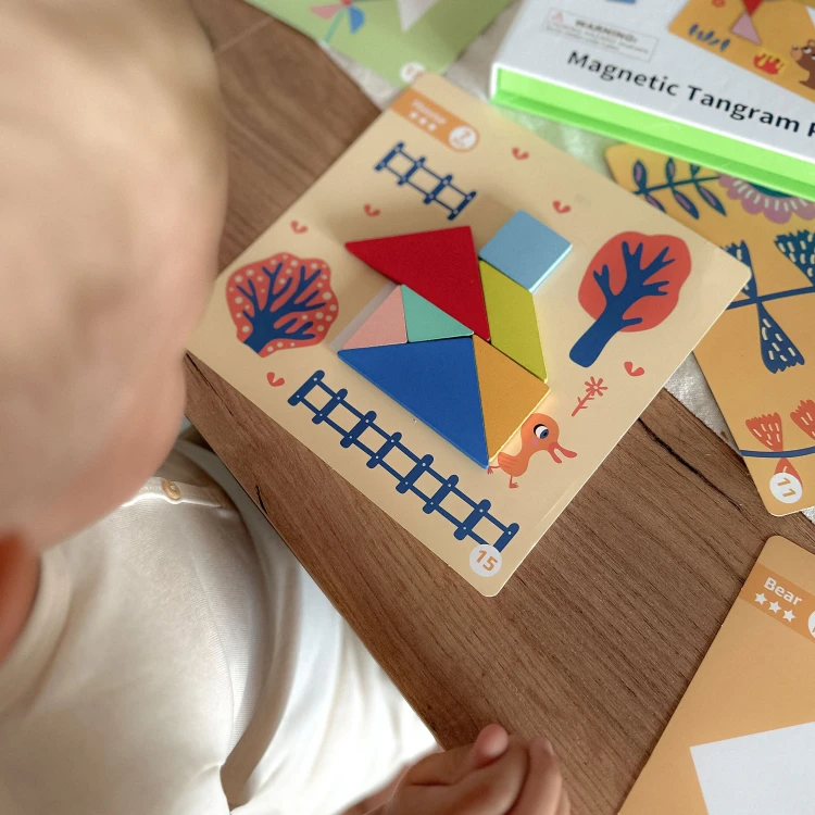 Kadr z rozłożonymi elementami Tangram 18el. TOOKY TOY pokazuje kombinacje kształtów i wzorów