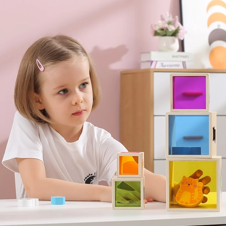 Zbliżenie na elementy sortera Montessori VIGA — kolorowe klocki i widoczne połączenia drewna