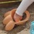 Zbliżenie na profil łopatki Pazury WOOPIE, uchwyt i struktura biodegradowalnego materiału