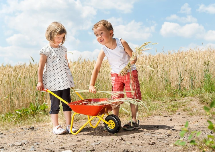 Detale taczki Rolly Toys — zbliżenie na uchwyt i krawędź metalowej kuwetki pomalowanej na czerwono