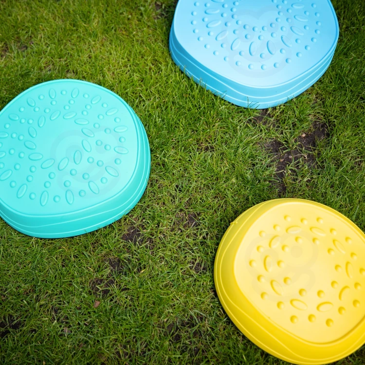 export.jpg