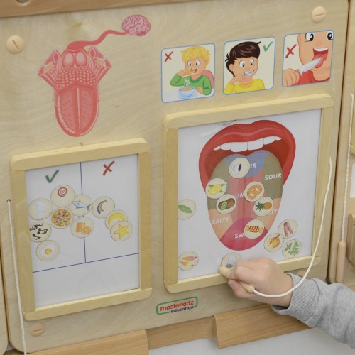 Zbliżenie na sensoryczne pojemniczki i etykiety w tablicy MASTERKIDZ, szczegóły do ćwiczeń smaków
