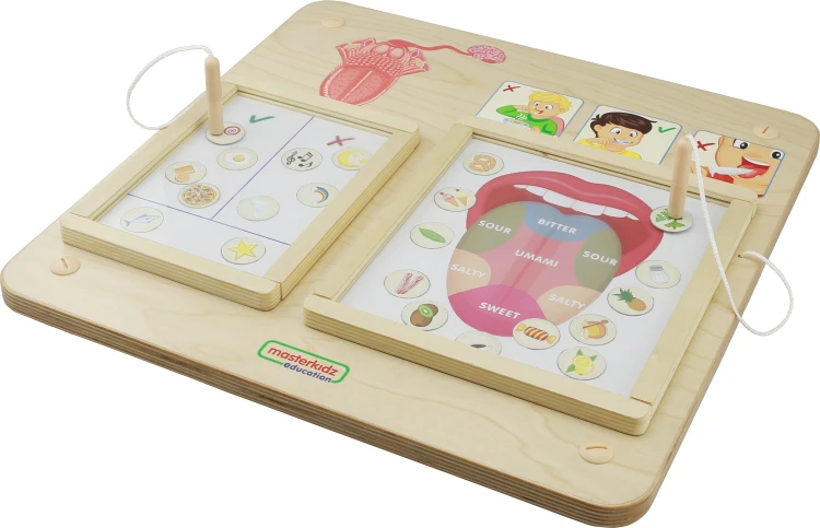 Dziecko bawi się tablicą Zmysł Smaku MASTERKIDZ — nauka rozpoznawania smaków przez zabawę
