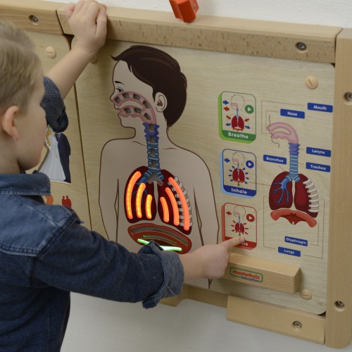 Widok z boku tablicy MASTERKIDZ — ruchome elementy układu oddechowego i drewniana rama do manipulacji