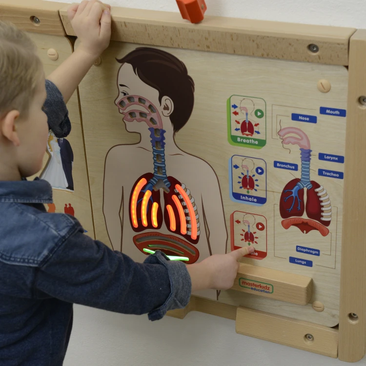 Widok z boku tablicy MASTERKIDZ — ruchome elementy układu oddechowego i drewniana rama do manipulacji
