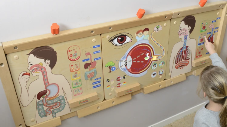 Ręce dziecka przesuwają elementy Montessori na tablicy — praktyczna zabawa poznawcza Układu Oddechowego