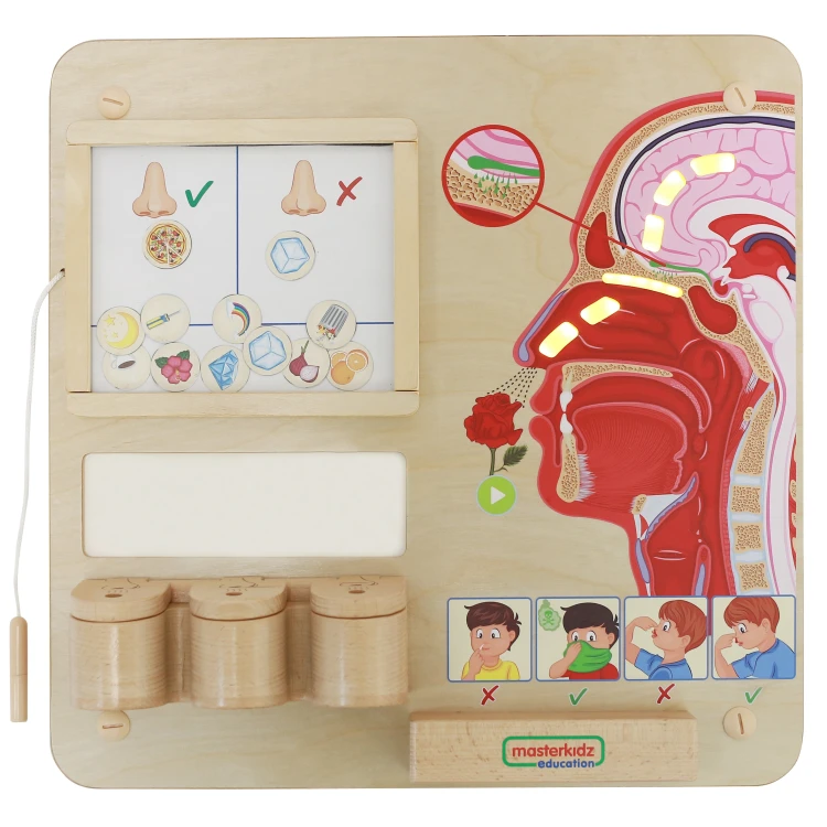 MASTERKIDZ Tablica Edukacyjna Zmysł Węchu Montessori — front z kolorowymi polami zapachowymi