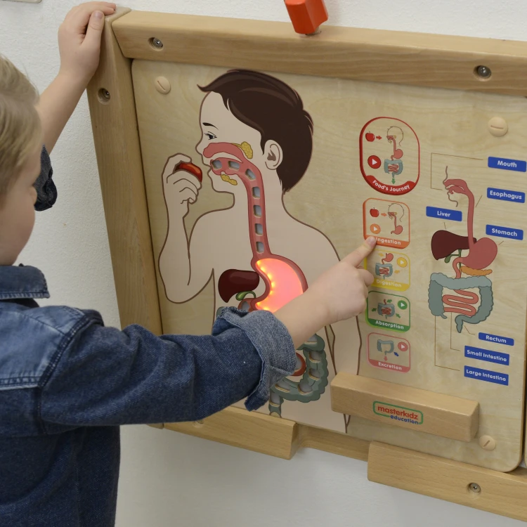 Zbliżenie mechanizmów Układ Trawienny Montessori — pokrętła i przesuwne części widoczne dla dziecka, marka 55