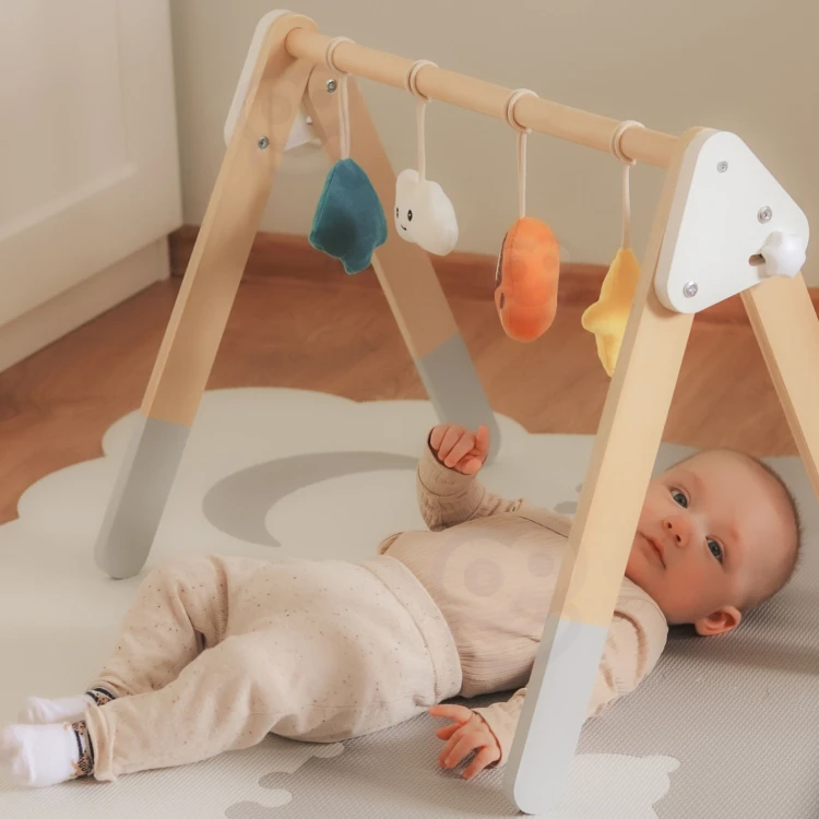 Boczny kadr pałąka VIGA PolarB — widoczne mocowania i charakterystyczny kształt łuku