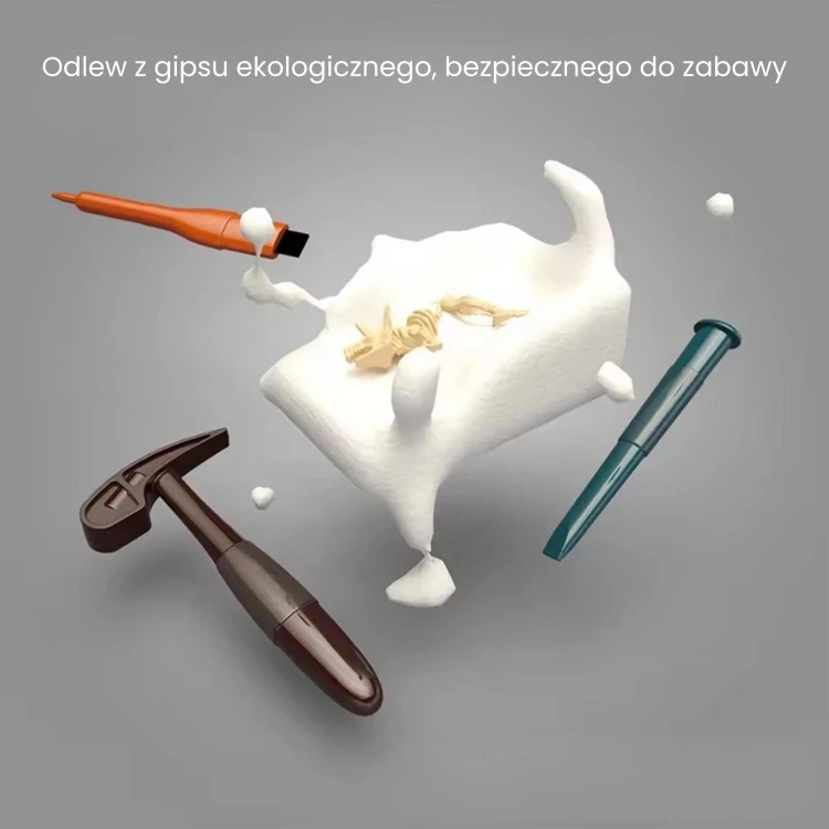 Tacka z uporządkowanymi fragmentami kości — zbliżenie na różnorodne części szkieletów w zestawie WOOPIE