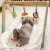 Zbliżenie na trzy pluszowe zawieszki Baby Gym TOOKY TOY — kolory, przeszycia i detale maskotek