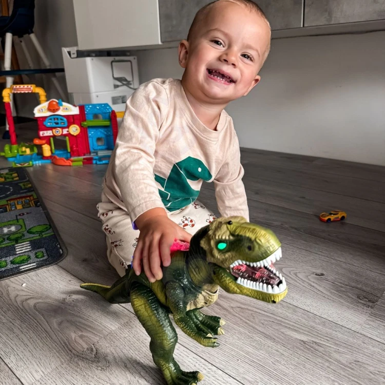 Akcesoria do zestawu WOOPIE T-Rex — pilot, instrukcja i dodatkowe elementy ułożone obok