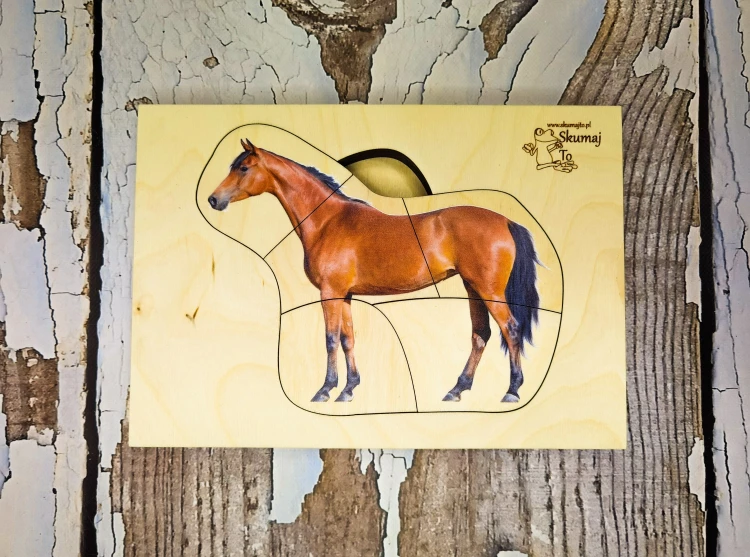 Układanka Budowa konia EDUBOBO złożona w całość na podstawie 30x21 cm