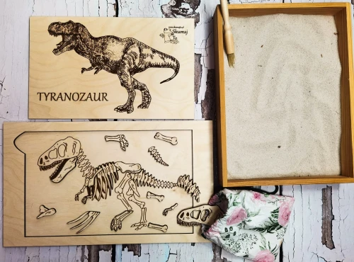 Drewniane kości Tyranozaura zatopione w piasku kwarcowym w zestawie EDUBOBO