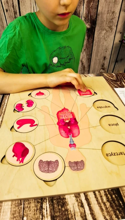 Układanka anatomiczna EDUBOBO do rozmowy o wyglądzie i funkcjach narządów