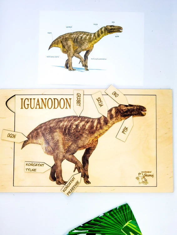 Edukacyjna układanka Iguanodon EDUBOBO przedstawiająca anatomię dinozaura na trzech planszach ze sklejki