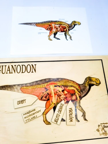 Zbliżenie na ruchome fiszki z podpisami części ciała w układance Iguanodon EDUBOBO
