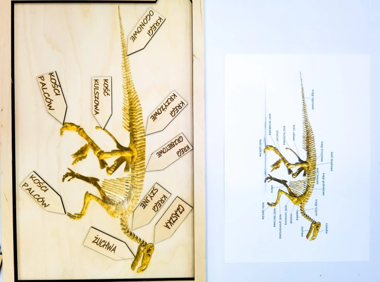 Plansza z budową zewnętrzną dinozaura Iguanodon w zestawie edukacyjnym EDUBOBO