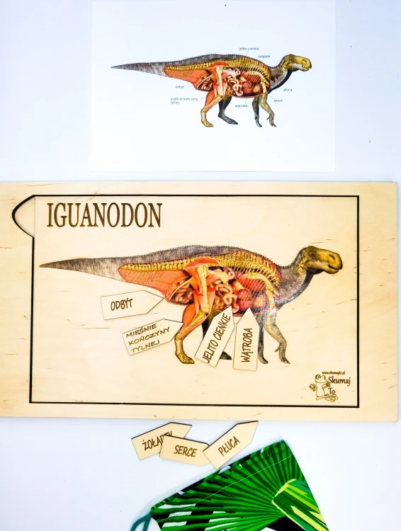 Drewniane elementy układanki edukacyjnej Iguanodon na tle planszy