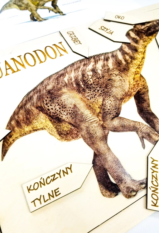 Ruchome fiszki z podpisami części ciała dinozaura w edukacyjnej układance Iguanodon