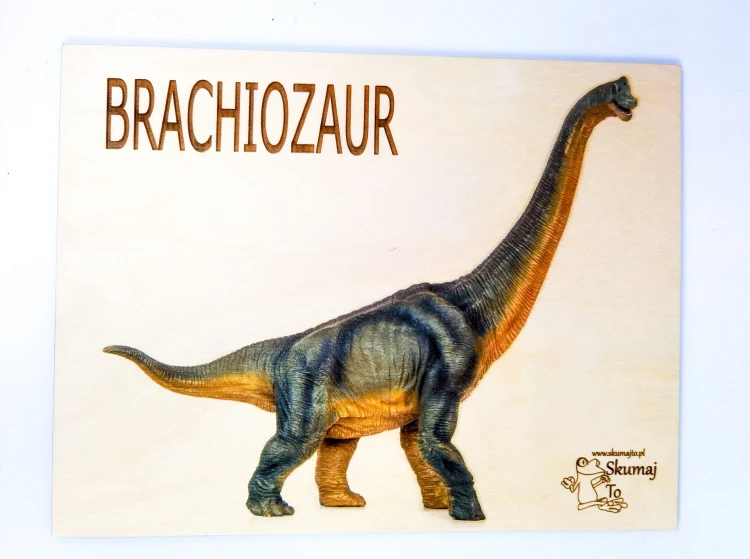 Pędzel o wymiarach 190x23 mm do oczyszczania kości z piasku w zestawie Dinozaur Brachiozaur