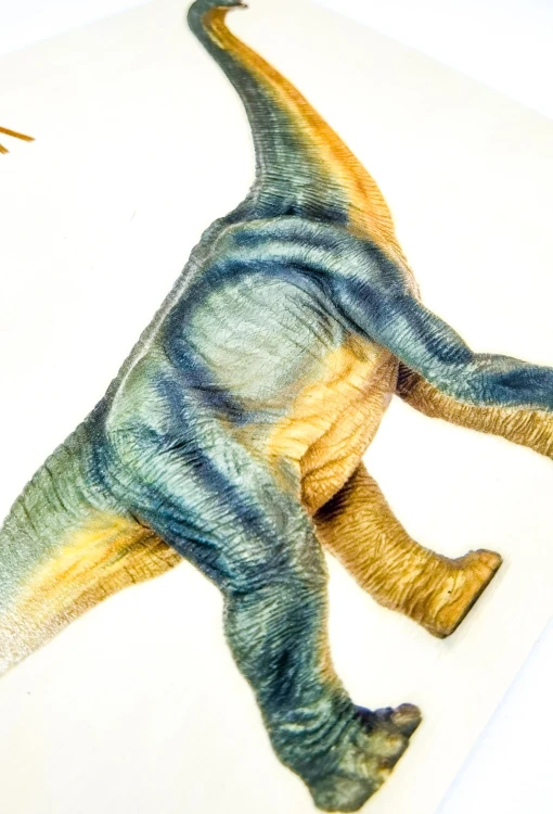 Duża taca 400x250x60 mm używana do wykopalisk paleontologicznych w zestawie EDUBOBO