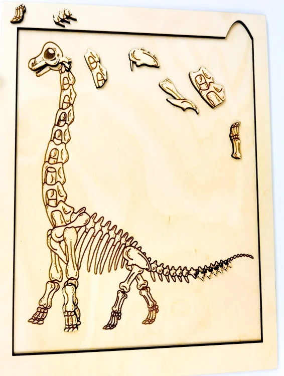 Zestaw Dinozaur Brachiozaur EDUBOBO - elementy do edukacyjnej zabawy w paleontologa