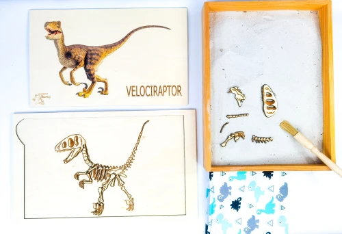 Dinozaur Velociraptor, zestaw rozszerzony, wykopaliska, szkielet dinozaura, taca i piach