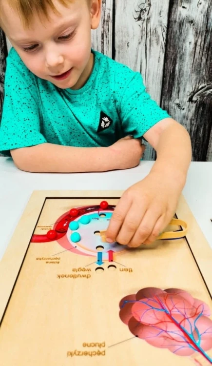 Układanka edukacyjna EDUBOBO do poznawania wdechu, wydechu i wymiany gazowej