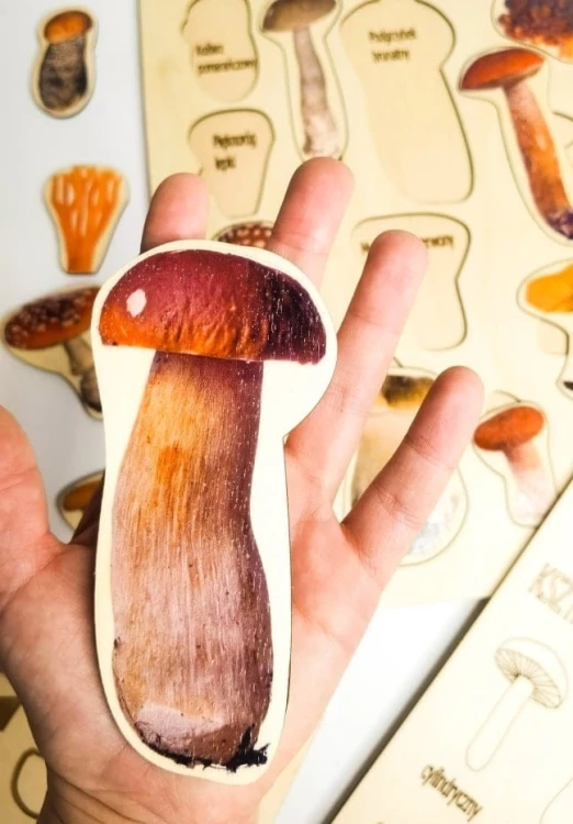 Drewniana pomoc przyrodnicza EDUBOBO do ćwiczenia rozpoznawania grzybów