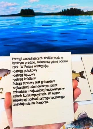 Opisy gatunków ryb na odwrocie drewnianych elementów układanki EDUBOBO