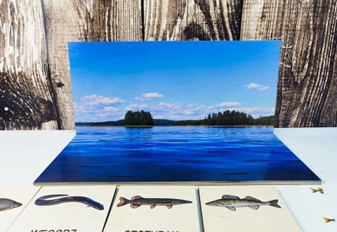 Dziecko układa drewniane ryby na makiecie jeziora w zestawie EDUBOBO